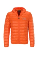 Daunen Jacke |       Regular Fit EA7 orange
