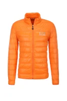 Daunen Jacke |       Regular Fit EA7 orange