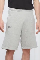 shorts | regular fit Replay grau