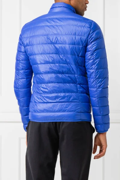 Daunen Jacke |       Regular Fit EA7 blau 