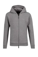 Sweatshirt |       Regular Fit Emporio Armani grau