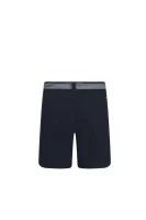 Shorts | Regular Fit Tommy Hilfiger dunkelblau