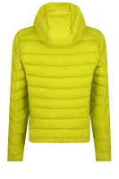 jacke dony | regular fit Save The Duck Limette